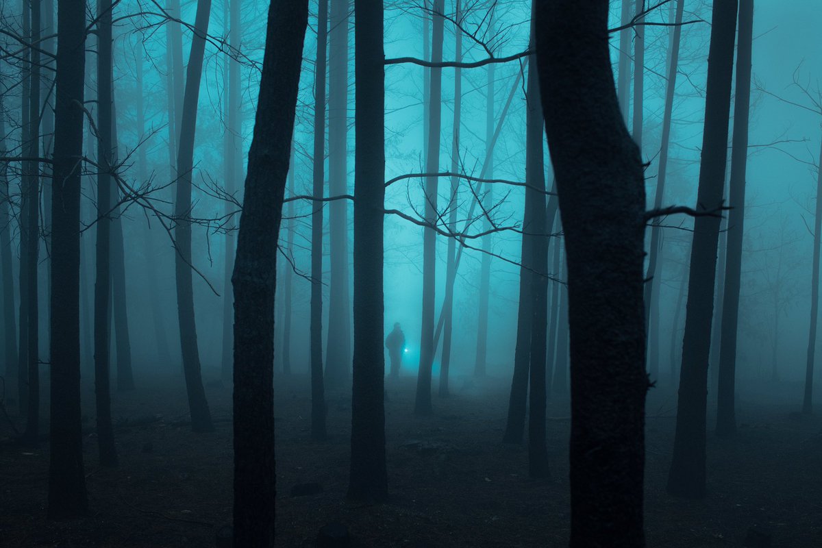 HenriPrestes's tweet photo. Some images from the ‘Night’ chapter of my new photography book https://t.co/wCeWmoBBMP