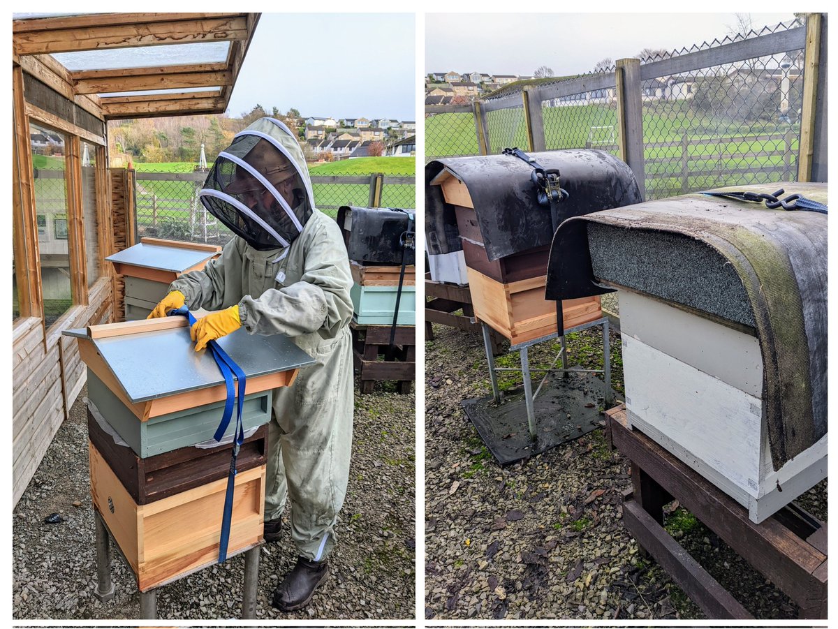 School Beekeeping on Twitter "Quick 'heft' of the school hives to make