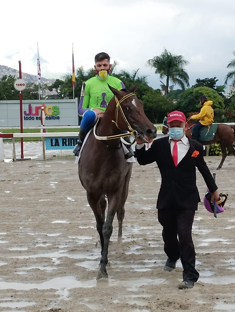 Fotos 📸 | En la 3era. carrera del programa obtuvo la victoria "King Miggy" (2), con la monta de C. Gil y entrenamiento de L. Peraza. 

👉 En el segundo puesto llegó "Black Andrew" (10).

#Hipismo