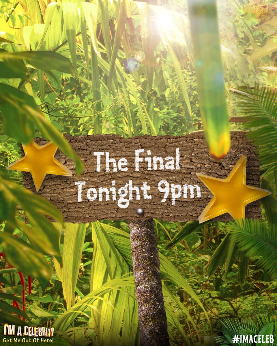 imacelebrity's tweet image. ⭐ It's the final! ⭐

Jill, Matt or Owen will be crowned King or Queen of the Jungle tonight! 🌴👑 

Join @antanddec live from Australia at 9pm on ITV1 and STV ⭐️ #ImACeleb