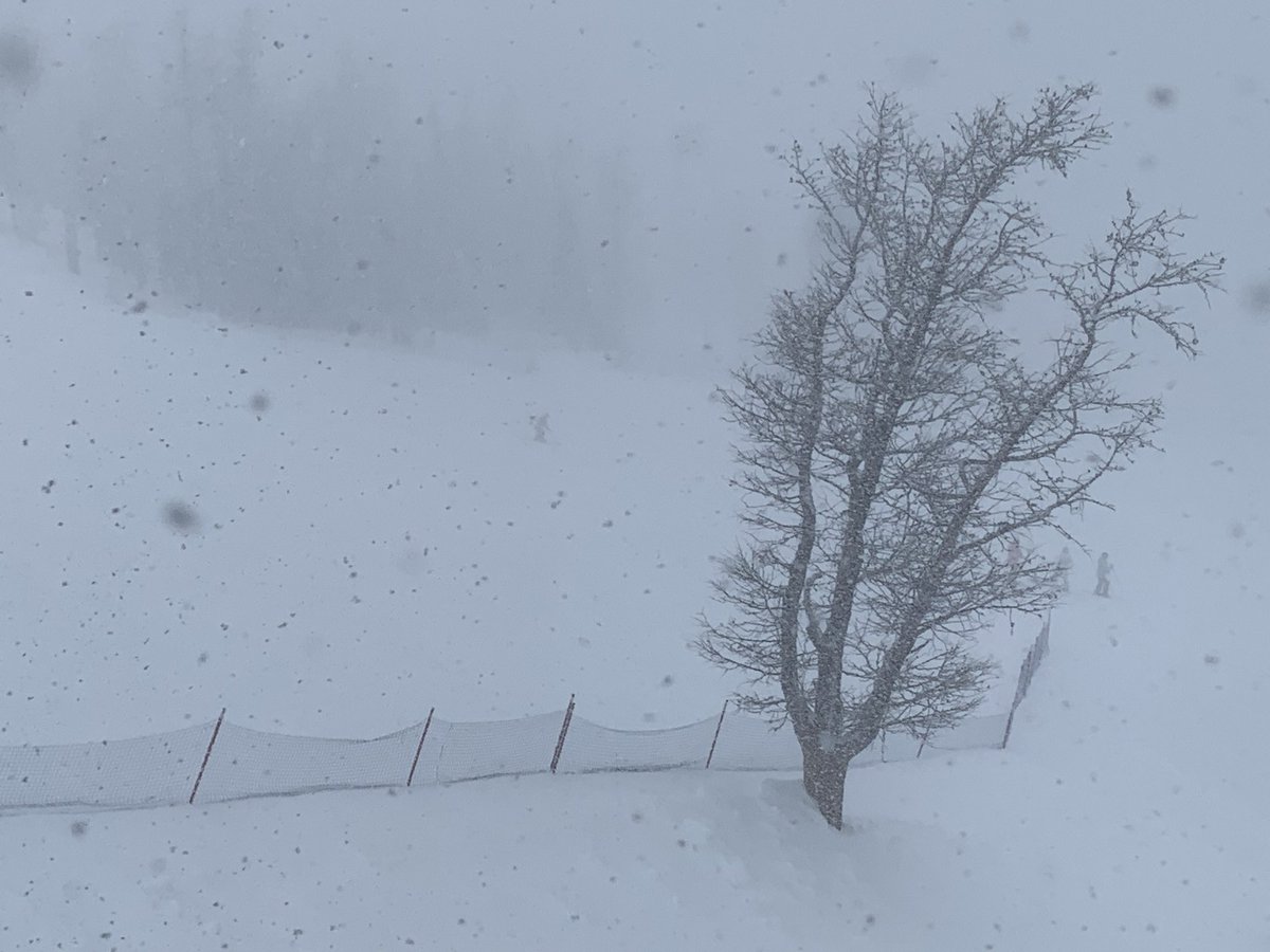 Washed_Up's tweet photo. -9c, And it’s PAH-UKING #Snow at the top of #GoldExpress @SkiNakiska in #Kananaskis valley #ShareYourWeather #abstorm #November2022 https://t.co/xI1ISSLpQl