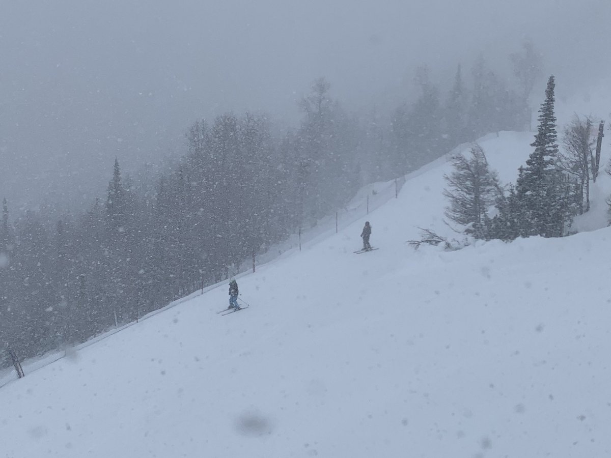Washed_Up's tweet photo. -9c, And it’s PAH-UKING #Snow at the top of #GoldExpress @SkiNakiska in #Kananaskis valley #ShareYourWeather #abstorm #November2022 https://t.co/xI1ISSLpQl