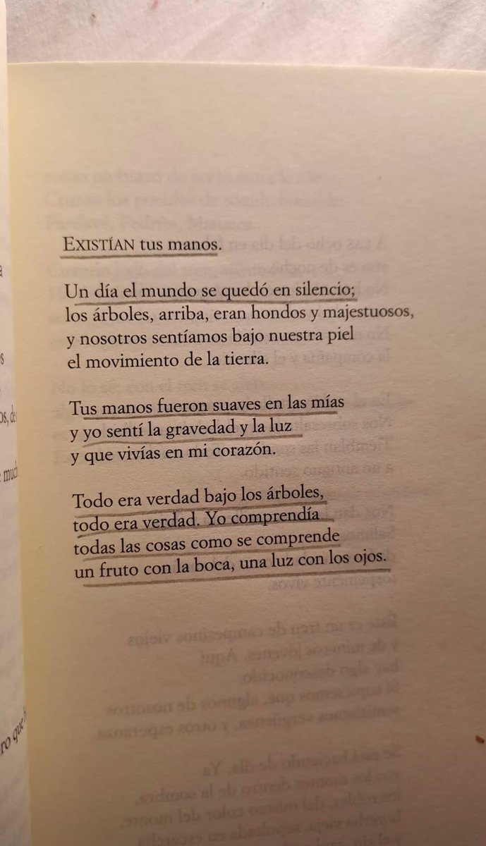 gudrunpalominot's tweet photo. «Todo era verdad bajo los árboles». https://t.co/yqjA8cnHh8