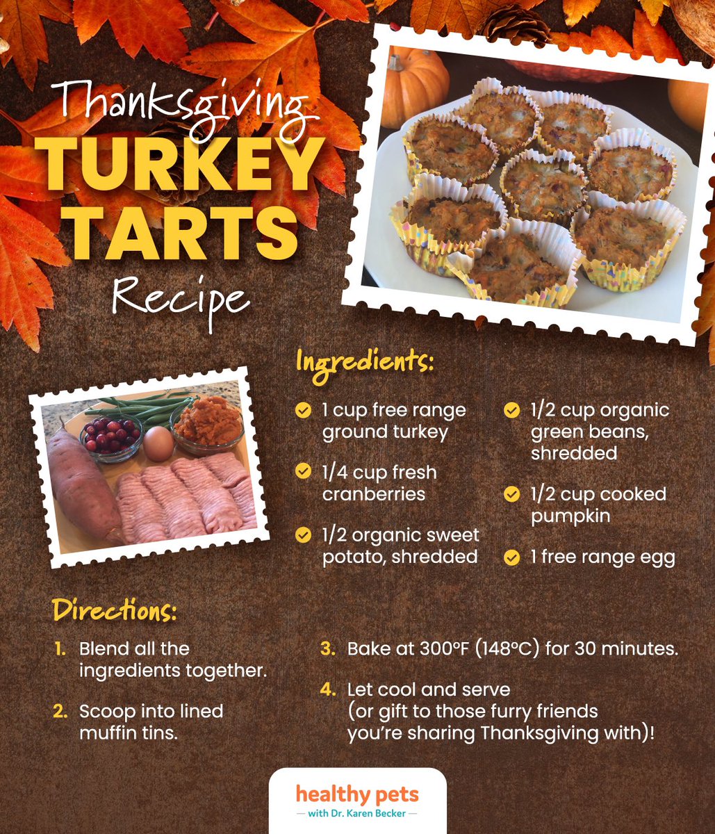 SummerCorgi's tweet photo. #Friendsgiving is today and the pawrents made these for the pups. We can’t wait to eat #CorgiCrew #dogsoftwitter #dogsarefamily #dogsarelove https://t.co/8my0uDbAFM