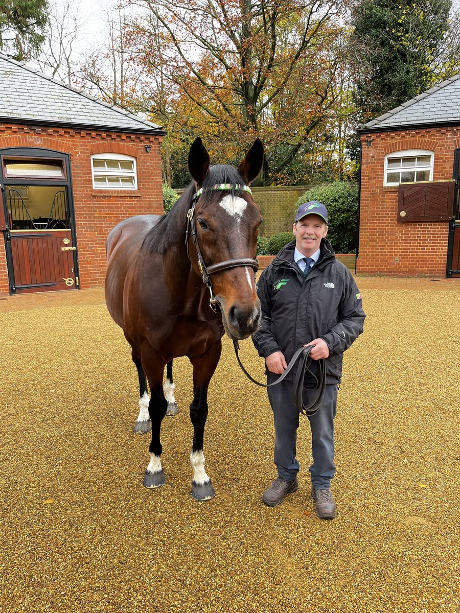 SophiexJane's tweet photo. Sunday attending stallion shows and Tatts sales before day 1 of Mares and Fillies starts tomorrow. Pleasure to meet lovely Frankel, Sea The Moon, Kingman, Stradivarius, Lope Y Fernandez and Study of Man. Plus got to see beautiful Alpinista too! Great day with @VitruvianB https://t.co/oZB0mE7trP