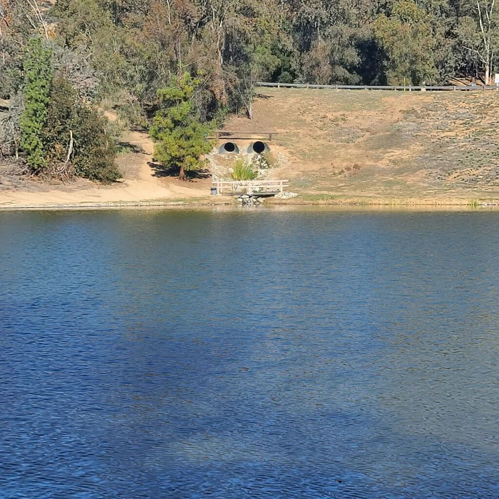 rizbee's tweet photo. The watcher in the lake. 

#roadtrip
#discgolf 
#discgolfisthebestroadtripsport 
#discgolfvalues 
#PDGA 
#playall50states 
#innovadiscs 
#ifttt 
#upperparkdiscgolf 
#williammurraygolf 
#1752
#teamrizbee https://t.co/UnG7f6Know https://t.co/kghOsbkEuC