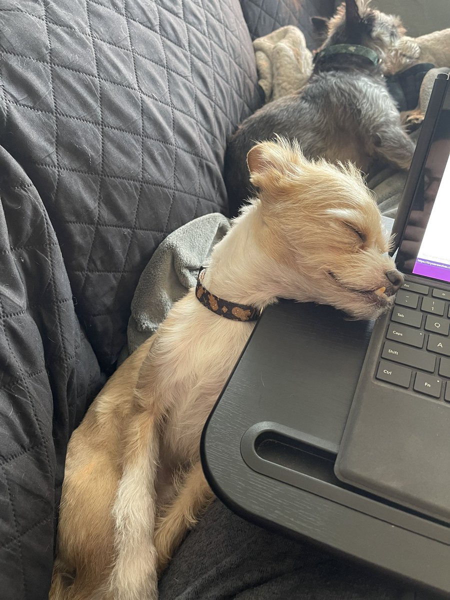 Tate takes his job as quality supervisor very seriously.