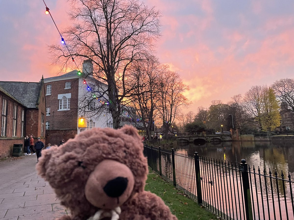 BobbyBearDeaf's tweet photo. @MrsFuery and I went for a lovely walk up and down by the seasonal markets then we saw the #festive lights be switched on @Lichfield_DC Look at this enormous #ChristmasTree I’m looking forward to my next adventure! @PercyShurmerAET https://t.co/ih8wx9AY0M