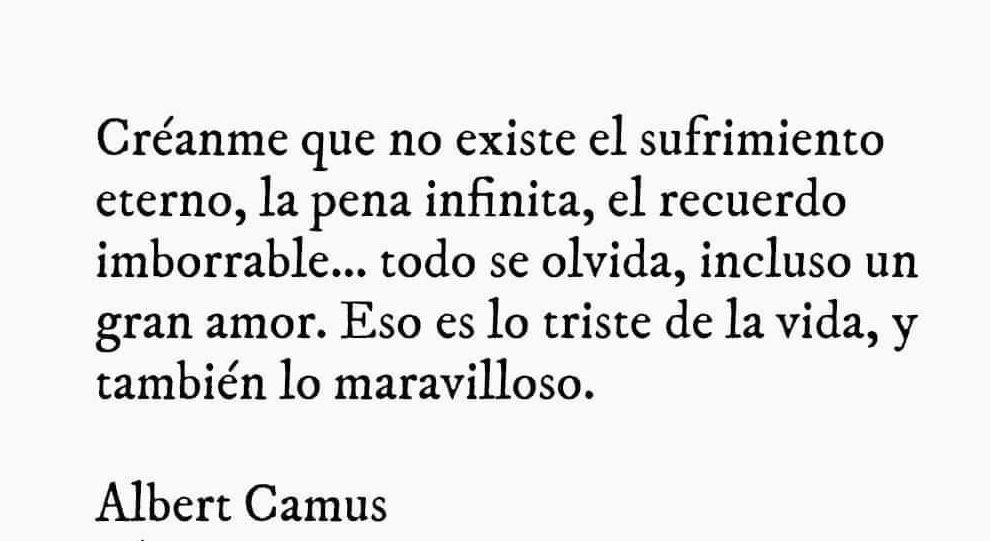 maria_mimia's tweet photo. Albert Camus https://t.co/ohHyJ9nxc3