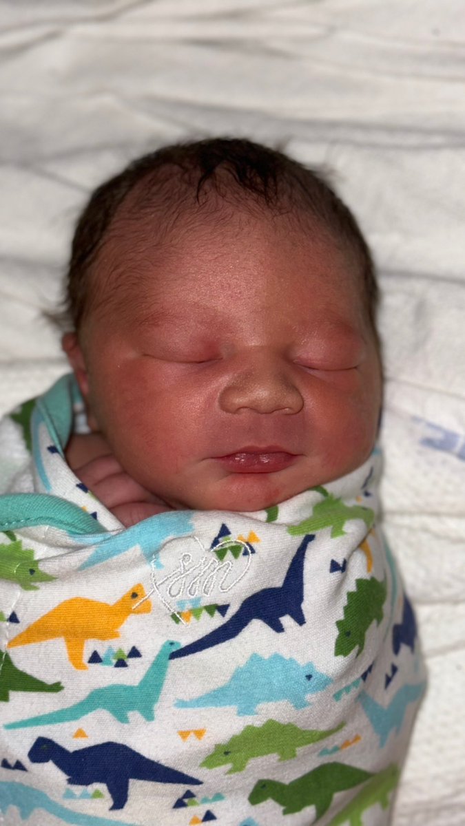 oops, i did it again 😂 if yk me yk my entire life i tried to manifest having twin boys. i never EVER fathomed having two babies in the same year but here we are &amp; im in love, and thankful. meet my thanksgiving day surprise (he came 2 weeks early!) Bryson Enzo Emory 🥹💙