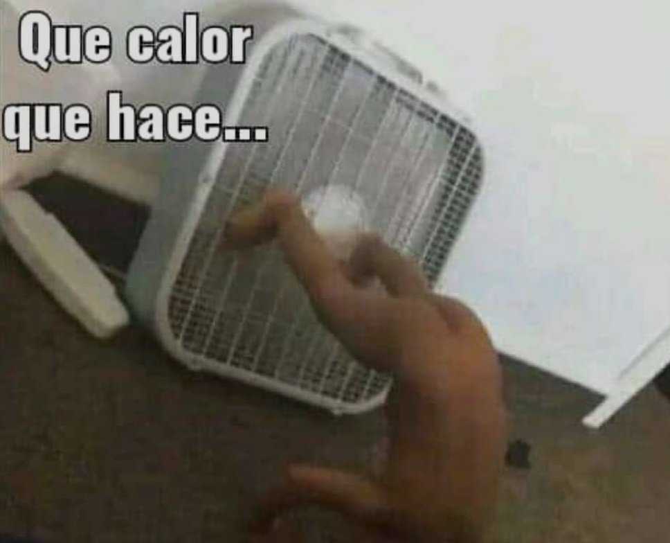 Rolita (@_onerolita) on Twitter photo 