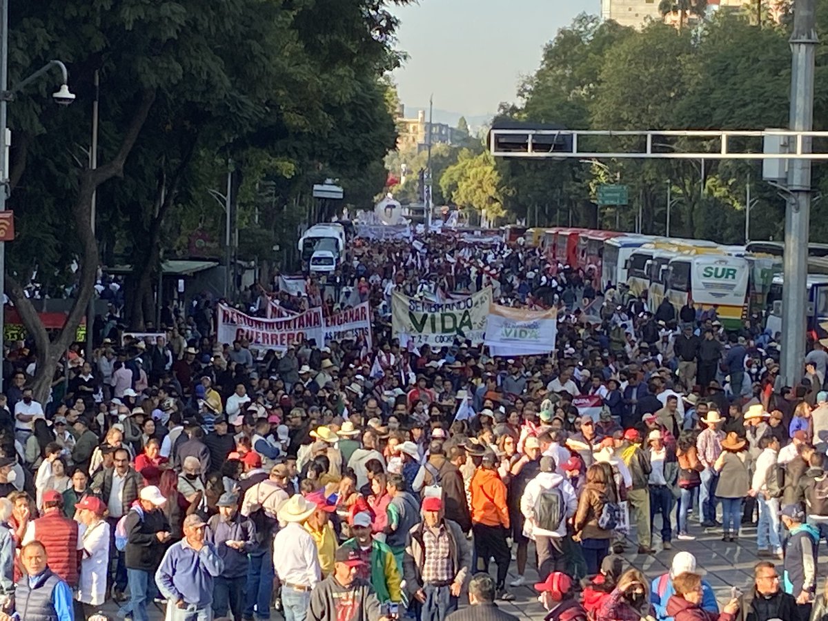 act_just's tweet photo. Me siento orgulloso de tener al mejor presidente que ha tenido México en décadas, un hombre que está haciendo historia por defender a su pueblo.
#MarchaDelPueblo 
#MarcharConAMLO 
#EsUnHonorMARCHARconObrador 
#LaMadreDeTodasLasMarchas https://t.co/xc7NmpcgN6