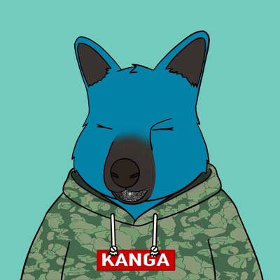 Jross_topshot's tweet photo. #NewProfilePic So much greatness going on with @RooTroopNFT! So happy to have this Kanga hoodie Roo in my collection! I can’t stop smiling with all these diamonds in my grill! 💎 💎 💎 ONE QUESTION? DO ROOS FOLLOW ROOS? #RootyRoo #ROOTROOP 🦘 https://t.co/khZDz8dr2j