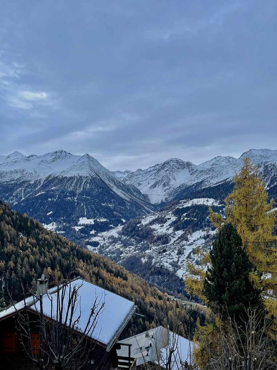 Zuff70's tweet image. 