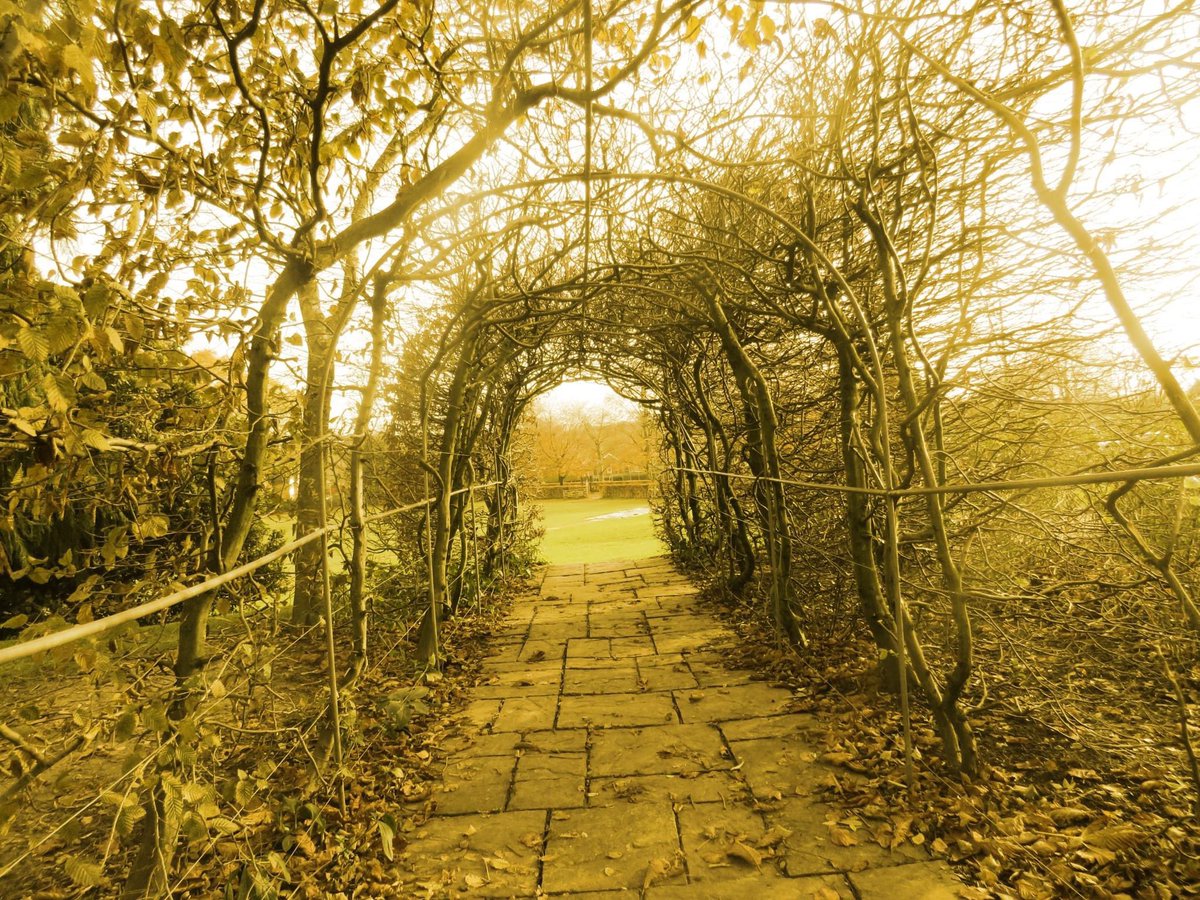 BromsPrep's tweet photo. On Saturday, pupils from the Years 5-8 Prep School Photography Club enjoyed taking and editing photos, experimenting with perspective and colours. #BromsPhotoClub #BromsActivities #SaturdayActivities https://t.co/sjmvroQ7JY