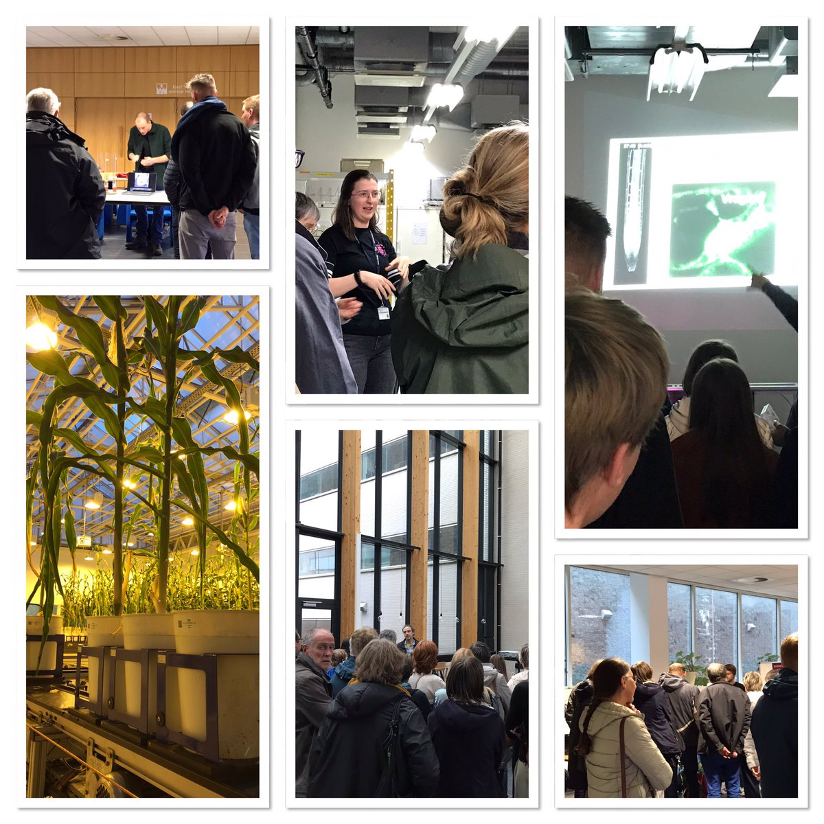 #dagvandewetenschap @PSB_VIB <a href="/VIBLifeSciences/">VIB</a> <a href="/ugent_fwe/">UGent Wetenschappen</a> open doors  at PSB
