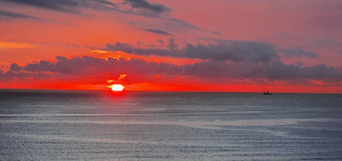 곰달래 (@inteloutside897) on Twitter photo 