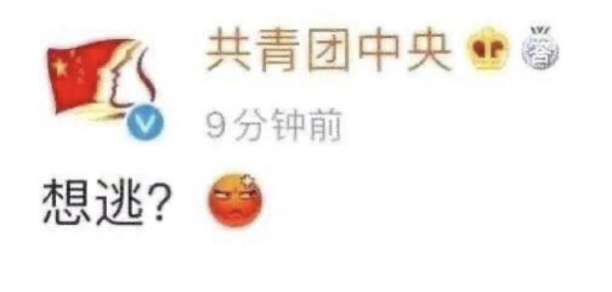 狐天悠 tweet media
