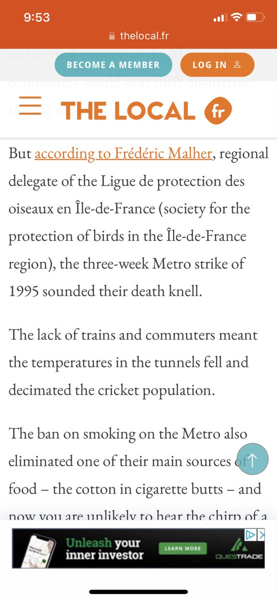 SeaJay❇️ tweet media