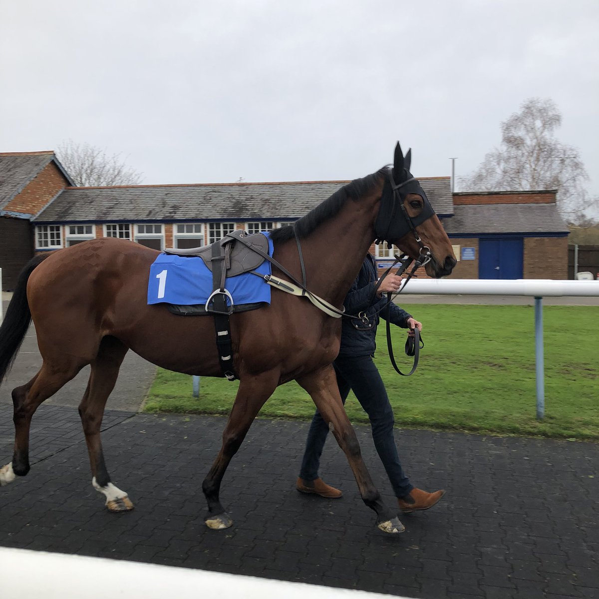sam_angelina22's tweet photo. 21 months off the track is no problem for Totterdown, making all under @lambert_finn. Seemingly not a straightforward horse. Great training performance by @RTPhillips1. https://t.co/ZmZzetbduo