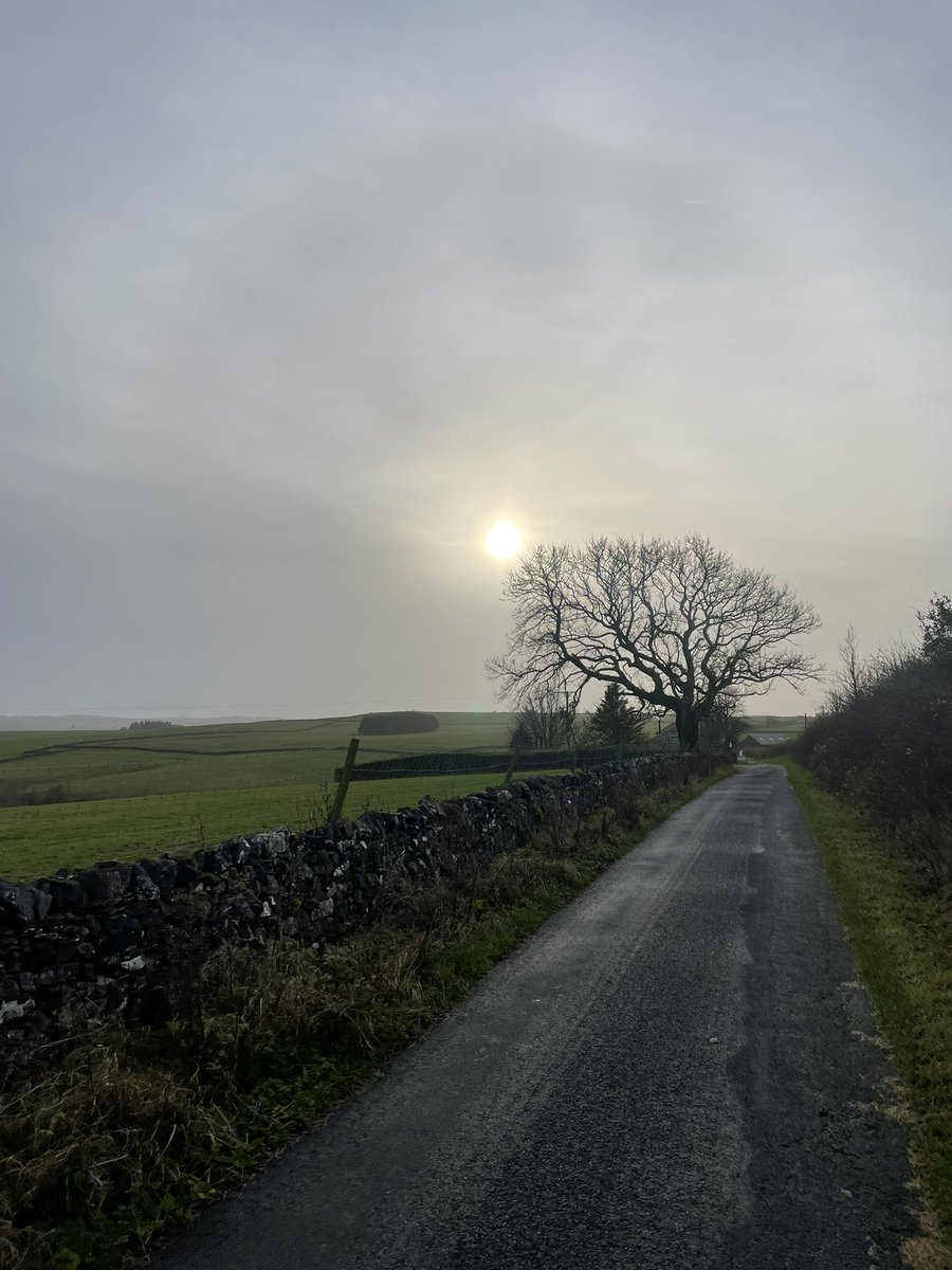 sixtysixrick's tweet photo. Morning Mooch on Lancashire Day around what some people might say Yorkshire. @forestofbowland @BowlandNetwork @VisitLancashire #LancashireDay  #Slaidburn #Newton #Backlane 🌹🌹🌹🌹🌹🌹🌹🌹🌹🌹🌹🌹🌹 https://t.co/IPOzqGM3WE