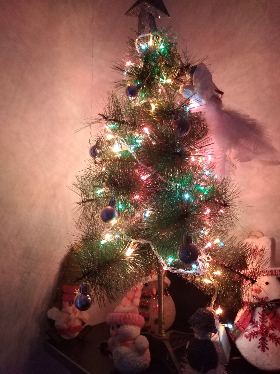 CoraviMucak's tweet photo. I love my little Christmas Tree. Even Christmas is more than a month away, but still... I wish than everyone's heart be lighted this way. #shadow #ghost #vampireheart https://t.co/fyfnL4LEq1