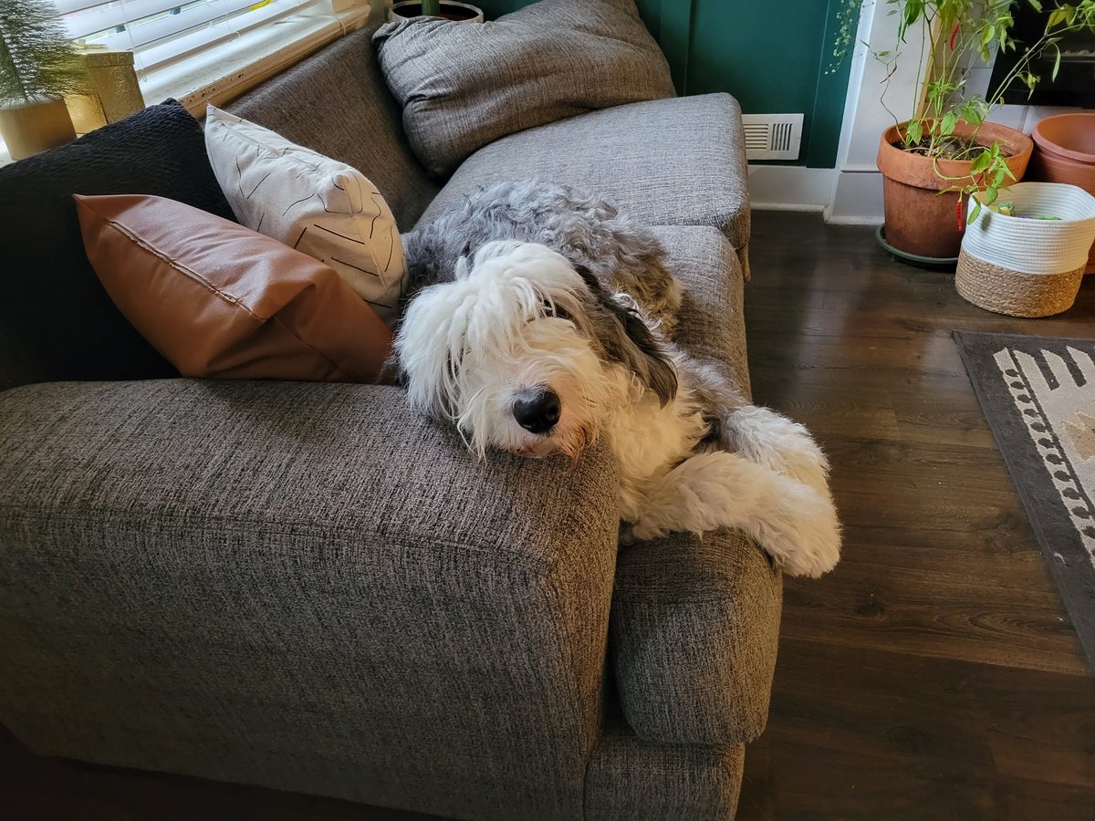 _JulieDo's tweet photo. @DocMcCafferty Lazy days. https://t.co/xmHPYhOKhP