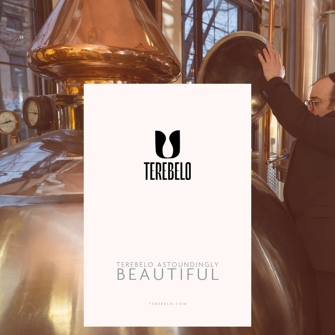 grogmagazine's tweet photo. Terebelo, astoundingly beautiful, astoundingly simple. https://t.co/joOlmwERcR