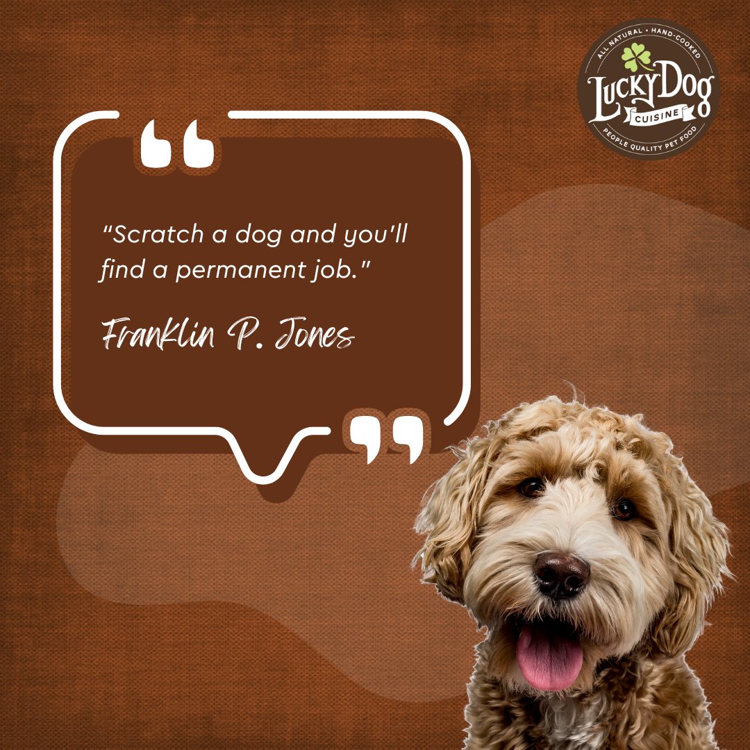 Do your puppies keep you busy with scratches, playing, cuddles and kisses? 

The best stress relief is cuddling and playing with your dog!🐶💚

#luckydogcuisine #luckydog #dogfood #healthydogfood