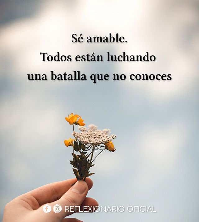 Daniel Delor # 13534 tweet media