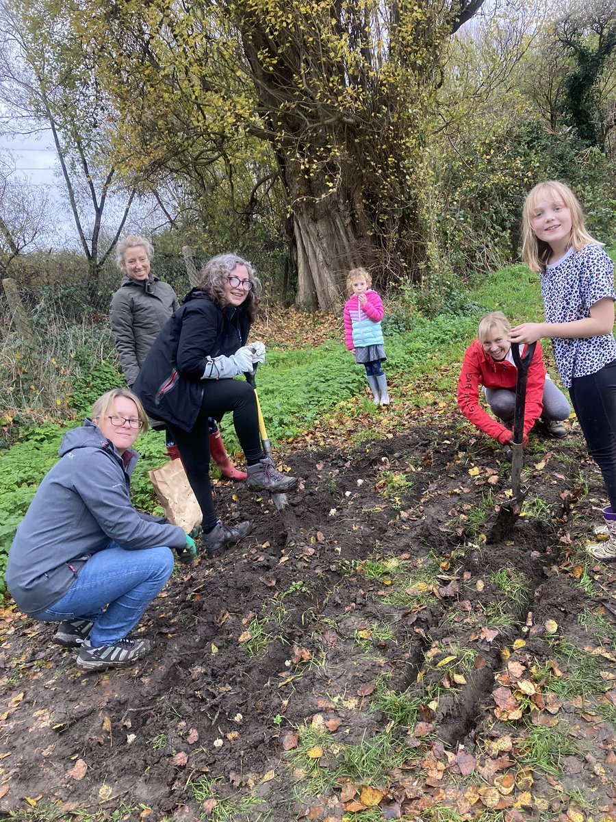 HaydonsNorth's tweet photo. Volunteers putting in the hard work this afternoon. Bulb planting to make a prettier #GarfieldPark for the whole community 🙏🏻 #community #volunteers #greenspaces https://t.co/fEBCU6ERkp