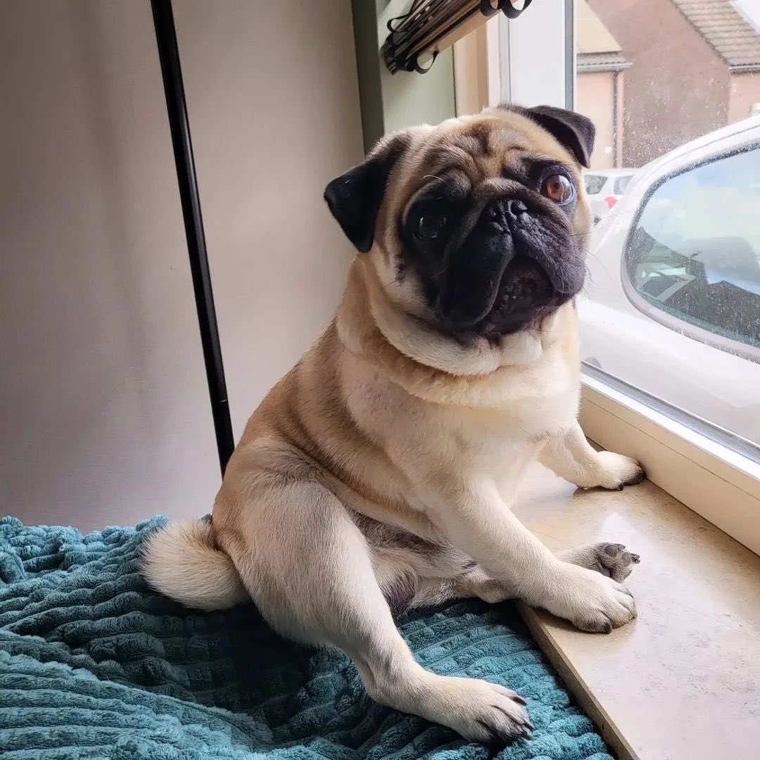 Roosevel Jackson (@jacksonroosevel) on Twitter photo 