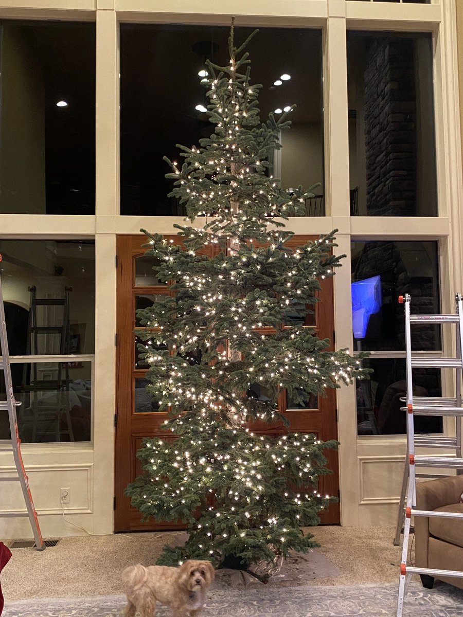 Brought my biggest tree inside today and wired it.
reddit.com/z5qc4r
