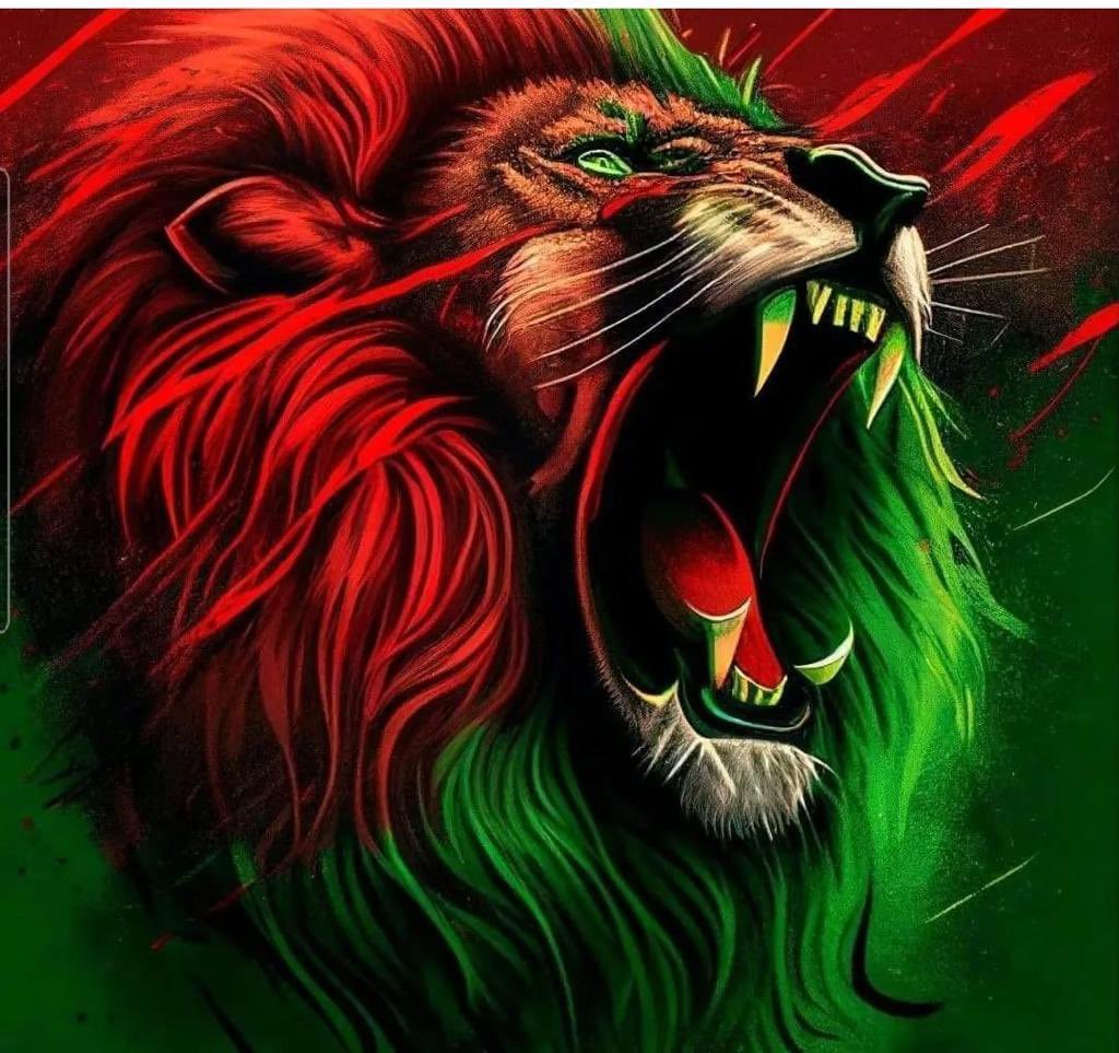 Vive Maroc 🇲🇦🇲🇦🇲🇦🇲🇦🇲🇦🇲🇦🇲🇦🇲🇦