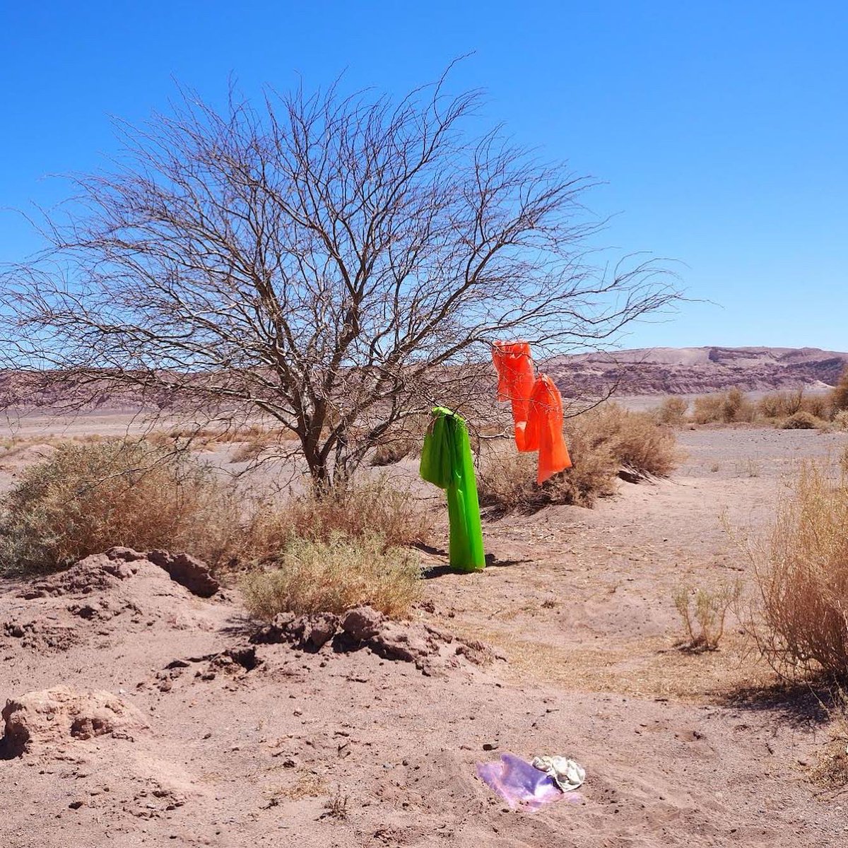 Black Hole Club tweet media