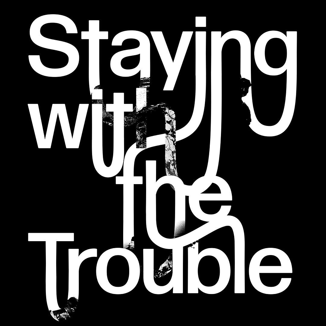 Black Hole Club tweet media