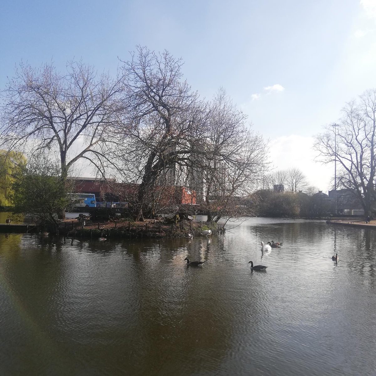 Black Hole Club tweet media