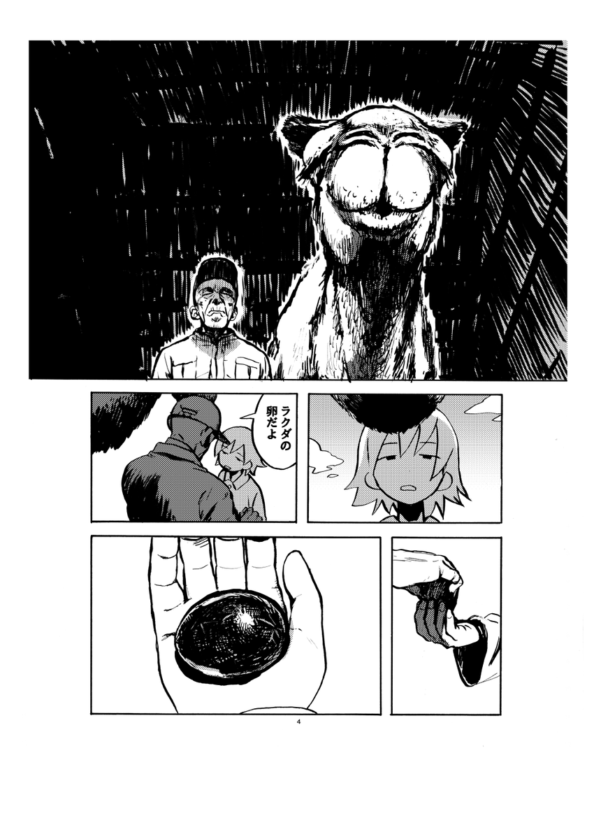 駱駝 