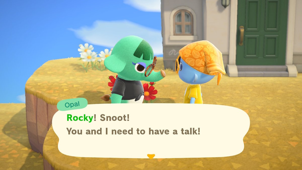 Rocky Blues tweet media