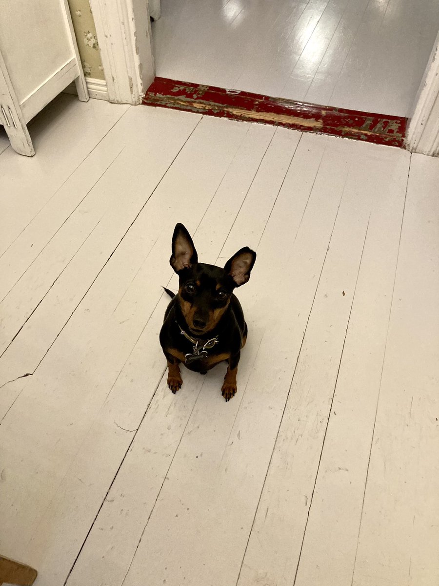 saunahermanni's tweet photo. Ennen ja jälkeen kuvat. Sunnuntai&amp;ruokakooma #kotona #vapaapäivä #burgerit https://t.co/mykZTEyVDq