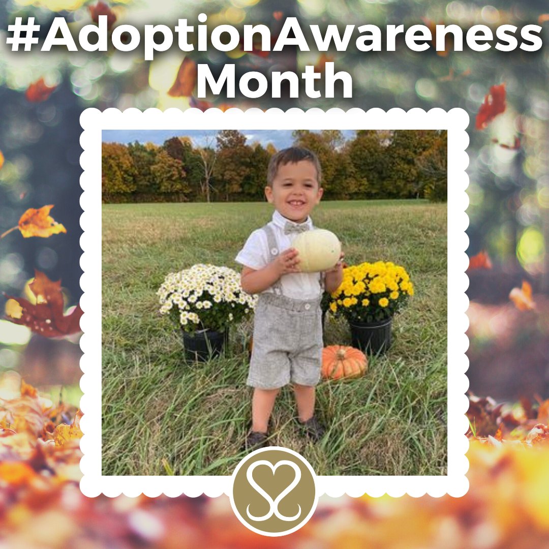 Sacred Selections tweet media