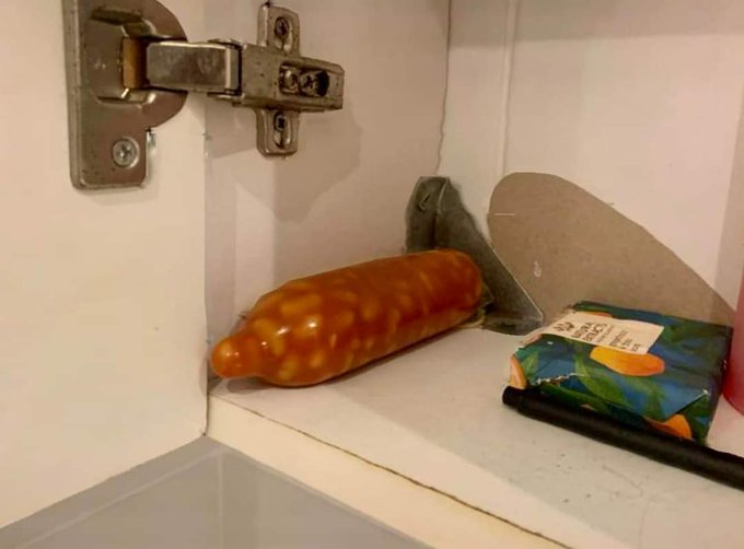 You meet a girl, go back to hers and find this in her cupboard. What do you do? #fun #dating #condom<a href="/tag/fun"class="tags"><span>#fun</span></a><a href="/tag/funny"class="tags"><span>#funny</span></a><a href="/tag/dating"class="tags"><span>#dating</span></a><a href="/tag/beans"class="tags"><span>#beans</span></a><a href="/tag/condom"class="tags"><span>#condom</span></a>