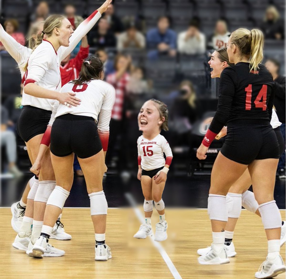 Hail to the champions!!