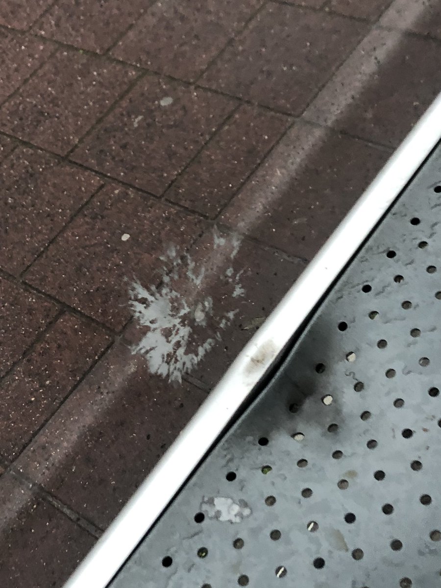 Douwe Hovingh tweet media