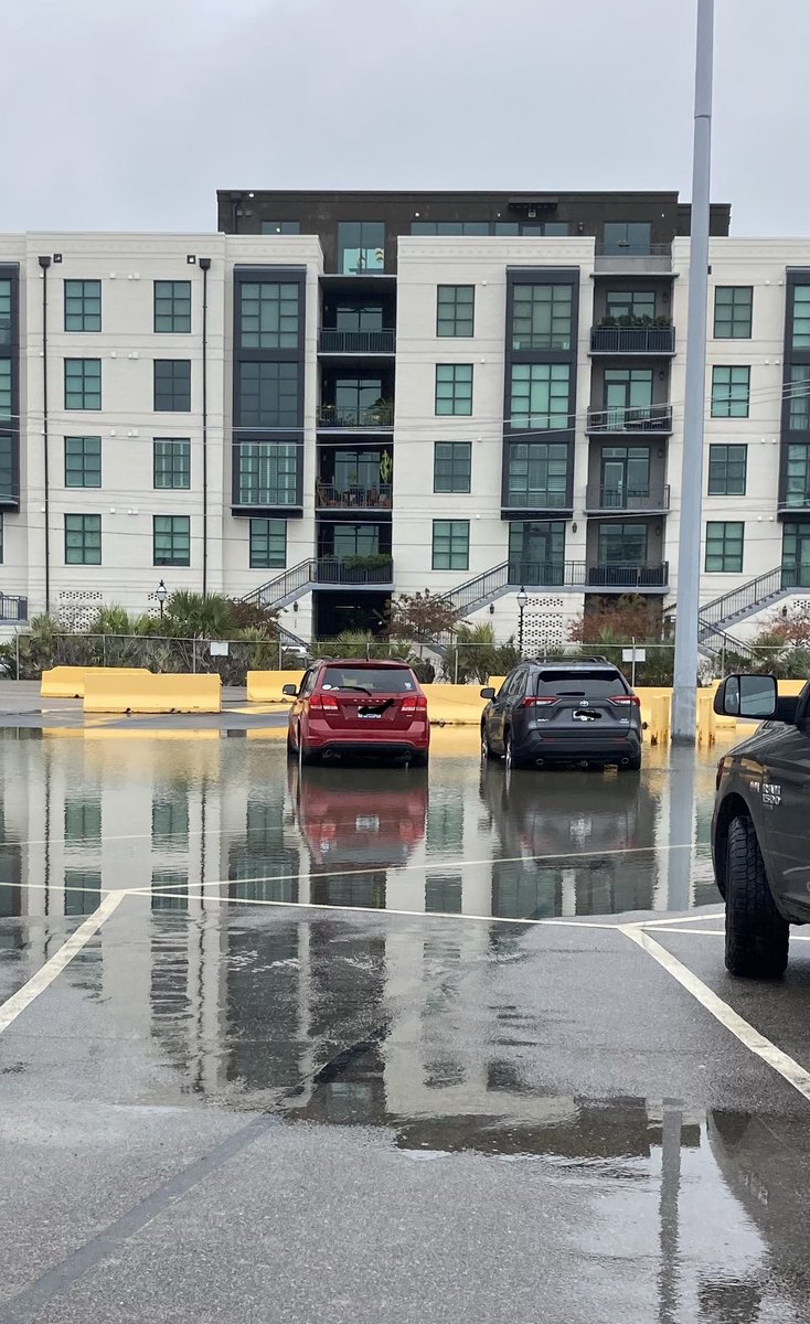 Mockette's tweet photo. What’s one more swim at the end of a cruise…if you are cruising out of Charleston…be careful where they park you. 

@CarnivalCruise 
#yesitcouldhavebeenworse https://t.co/MjIe6O22OE