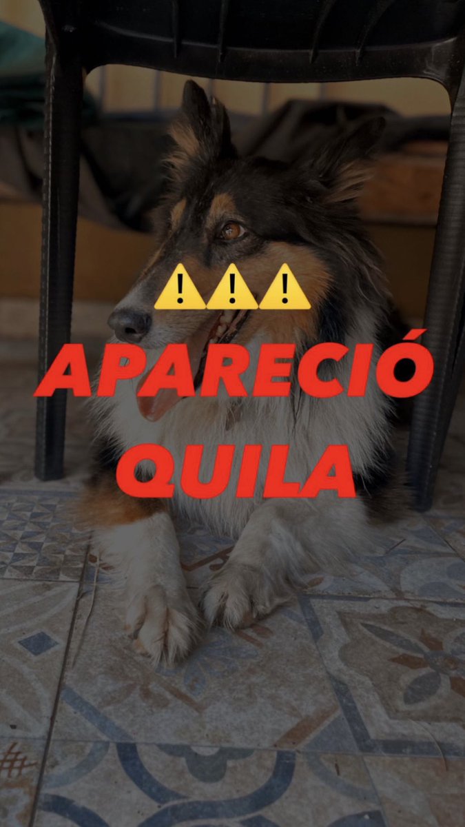 b_pauuuu's tweet photo. ¡LO SABIAMOS! ¡TENÍA QUE APARECER!
Gracias gracias gracias a todos los que difundieron son lo más 
Aguante todo loco ♥️♥️♥️ https://t.co/JSParP48pN