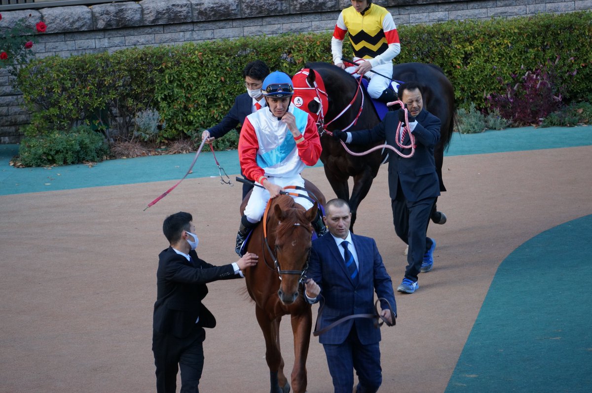 qftech's tweet photo. #JapanCup のパドック、外国馬は #GrandGlory, #ONESTO, #Tunnes, #SimcaMille でしたね。長旅、お疲れさまでした。気を付けてお帰りください! https://t.co/crVg6j60mq