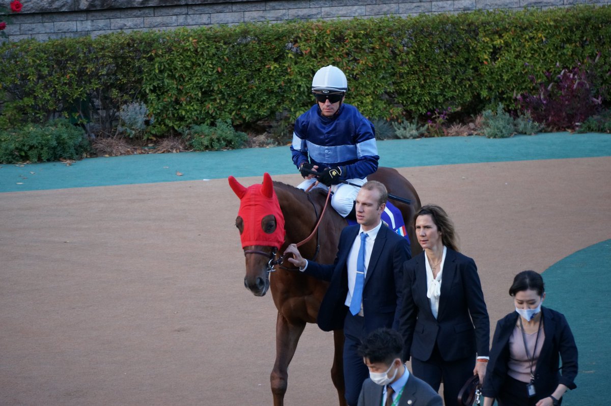 qftech's tweet photo. #JapanCup のパドック、外国馬は #GrandGlory, #ONESTO, #Tunnes, #SimcaMille でしたね。長旅、お疲れさまでした。気を付けてお帰りください! https://t.co/crVg6j60mq
