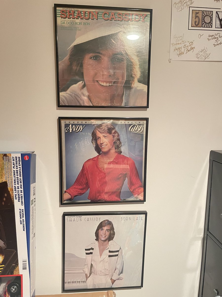 michelleriggio's tweet photo. @shaunpcassidy @MeredthSalenger https://t.co/9UMakuW5dr