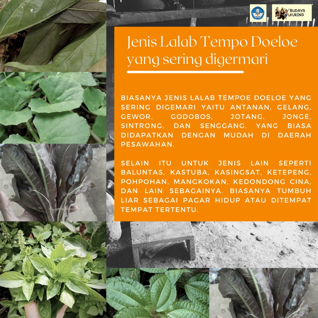budaya_kuring's tweet photo. Dari catatan lama tentang adat, kebiasaan dan tradisi orang sunda yang disebut lalab umumnya berbentuk daun muda atau pucuk tanaman dari tumbuhan-tumbuhan liar, baik yang berasal dari hutan, sawah, kebun, ataupun tempat lain.

cung baraya yang suka lalab?? https://t.co/pj246skky8